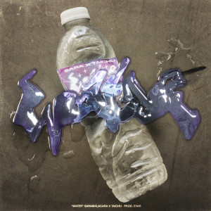 收聽Saramalacara的Water (Explicit)歌詞歌曲