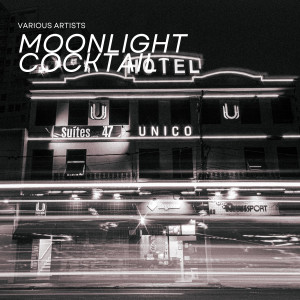 Various Artists的专辑Moonlight Cocktail