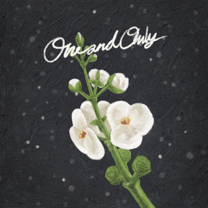 Album ONE AND ONLY from 바람이