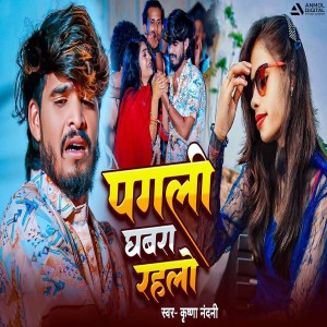 Listen to Pagli Ghabra Rahlo song with lyrics from Krishna Nandani