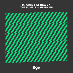 ดาวน์โหลดและฟังเพลง The Rumble (Toddla T Remix) พร้อมเนื้อเพลงจาก Mj Cole