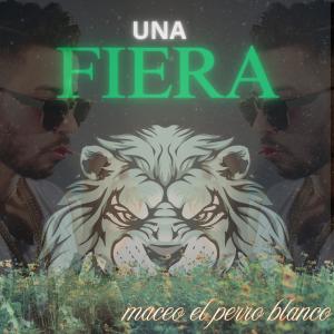 收聽Maceo El Perro Blanco的una fiera歌詞歌曲