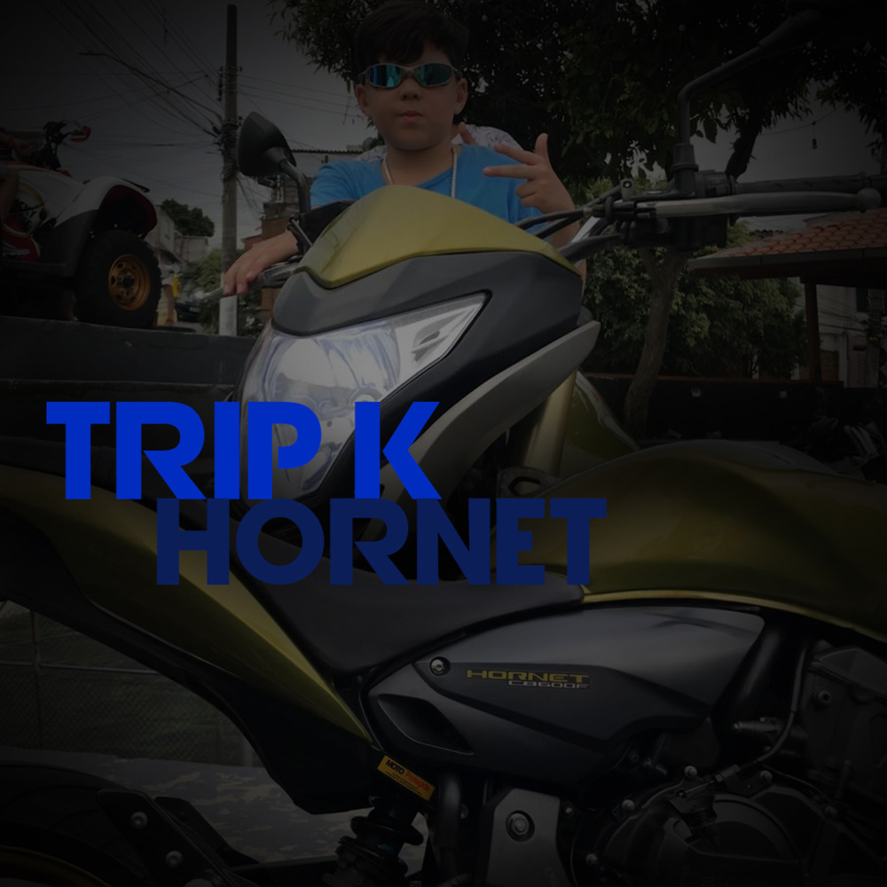 Hornet