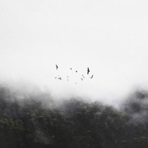 Jesse Kendal的專輯Dreamlike
