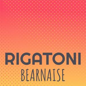 Dengarkan Rigatoni Bearnaise lagu dari Lamya dengan lirik