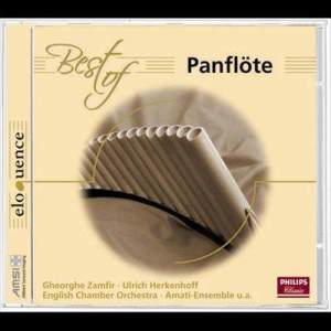 ดาวน์โหลดและฟังเพลง Hungarian Dance No.5 in G minor - Arr. Tony Britten พร้อมเนื้อเพลงจาก 赞菲尔