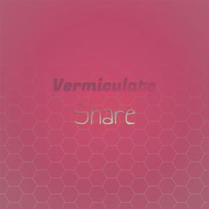 收听Nyle Bagel的Vermiculate Share歌词歌曲