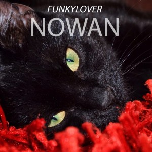 Dengarkan lagu Nowan (Original Mix) nyanyian Funkylover dengan lirik