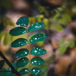 Sleep Sound Library的专辑Escape | New Age | Music for the Spirit