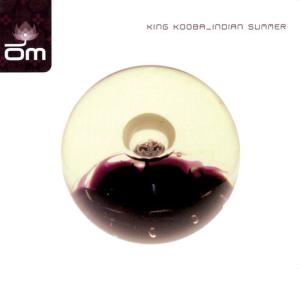 ดาวน์โหลดและฟังเพลง Want Your Love พร้อมเนื้อเพลงจาก King Kooba