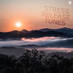 Various的专辑Stress Release Tunes