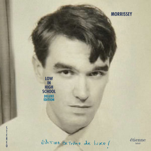 ดาวน์โหลดและฟังเพลง I Wish You Lonely พร้อมเนื้อเพลงจาก Morrissey