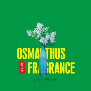 收聽胡男的好喜歡你 (完整版)歌詞歌曲