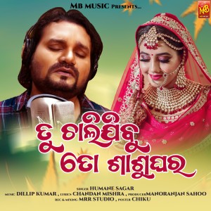 Album Tu Chali Jibu To Sashughara from Humane Sagar