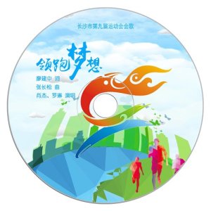 Album 领跑梦想 from 罗琳