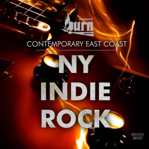 Various的专辑Burn Series: NY Indie Rock