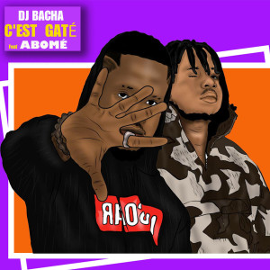 Album C'est gaté from DJ Bacha