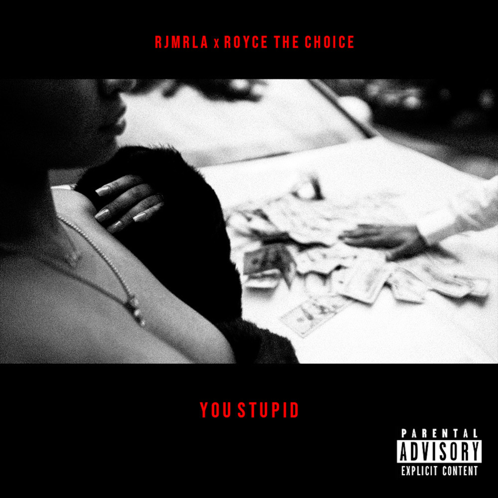 You Stupid (Explicit)
