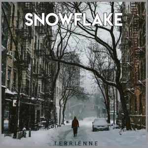 Listen to Snowflake song with lyrics from Terrienne