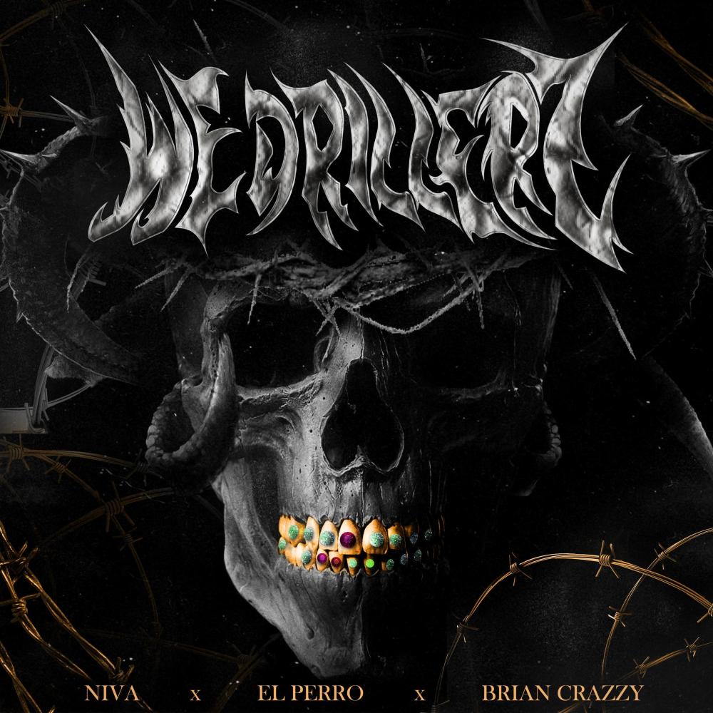 We Drillerz (feat. El Perro & Brian Crazzy) (Explicit)