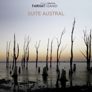 ดาวน์โหลดและฟังเพลง Carnavalito del duende พร้อมเนื้อเพลงจาก Pablo Farhat