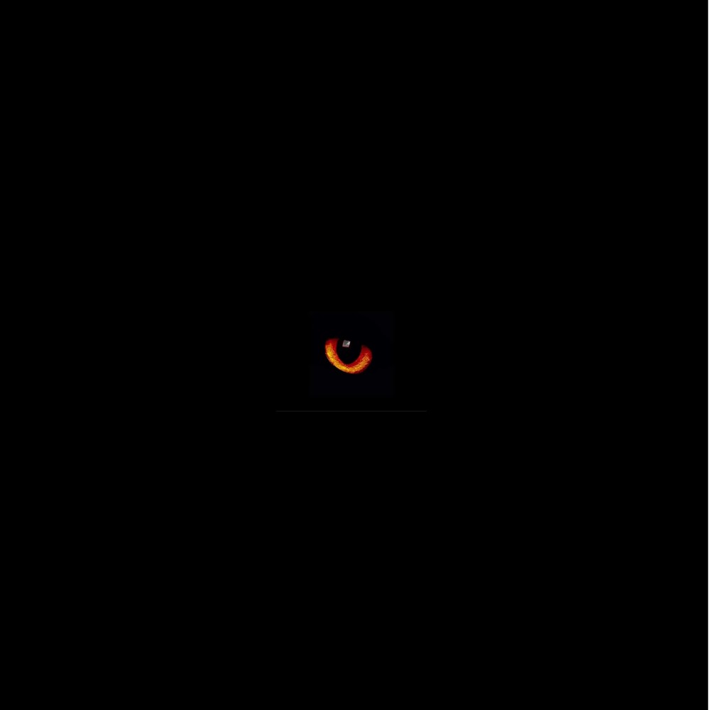 Eyes