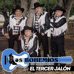 ดาวน์โหลดและฟังเพลง Robles del Sur พร้อมเนื้อเพลงจาก Los Bohemios de Michoacán