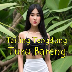 Album Tarling Tengdung Turu Bareng oleh Tarling Cirebonan