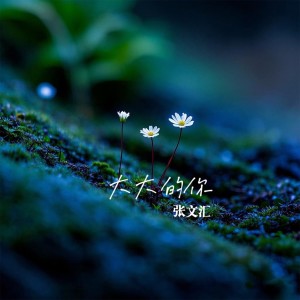 Album 大大的你 from 