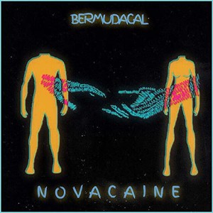 ดาวน์โหลดและฟังเพลง Novacaine พร้อมเนื้อเพลงจาก BermudaCal