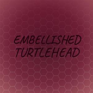 Embellished Turtlehead dari Various