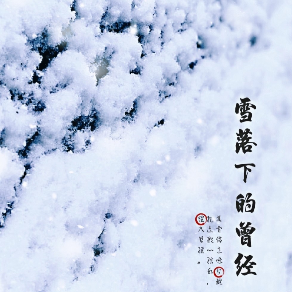 雪落下的曾经 (完整版)
