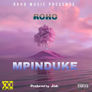 Album Mpinduke from Roho