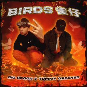 收聽Tommy Grooves的雀仔歌詞歌曲