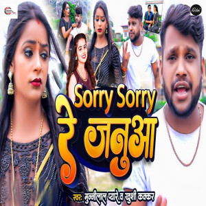 Listen to Sorry Sorry Re Januaa song with lyrics from Munnilal Pyare