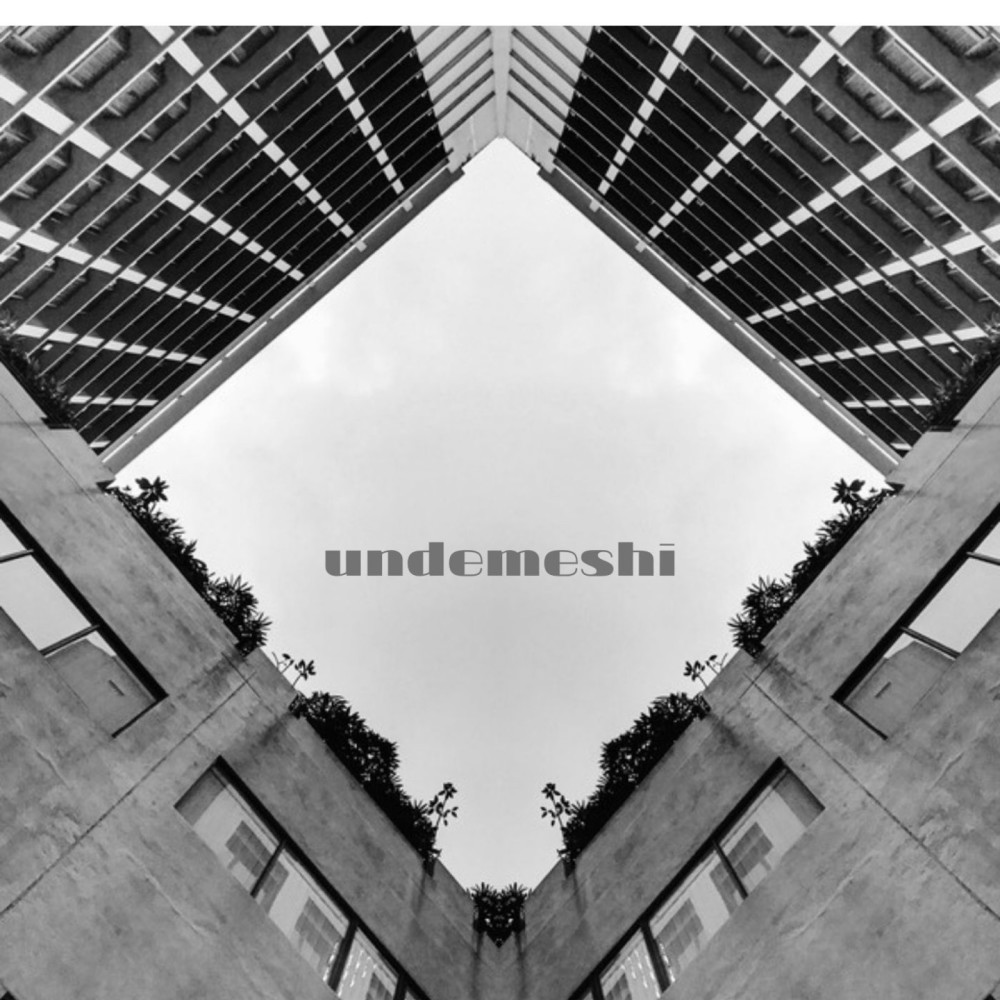 Undemeshi