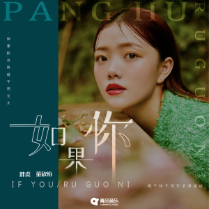 Listen to 如果你 song with lyrics from 胖虎（董欣怡）