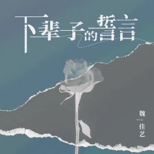 อัลบัม 下辈子的誓言 (烟嗓版) ศิลปิน 魏佳艺