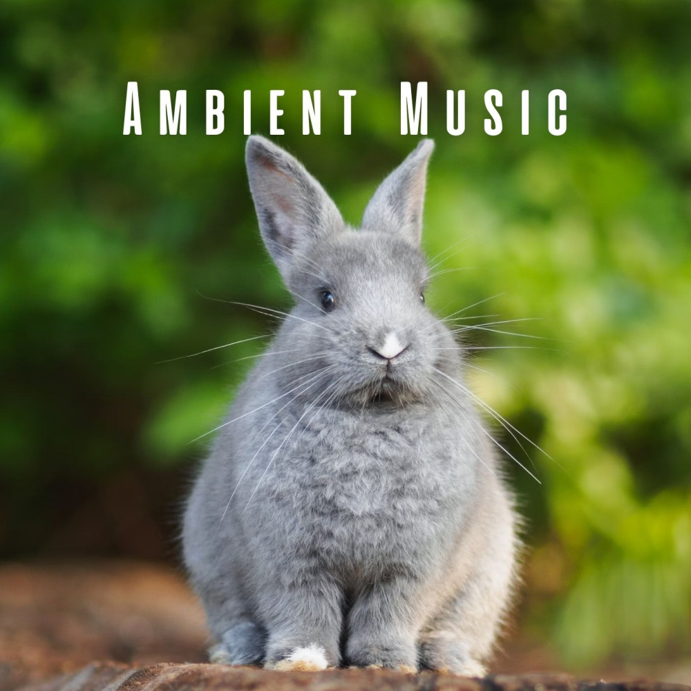 Pawsome Ambient Glow
