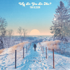 Album Why Do You Do This? from Tim Olsson