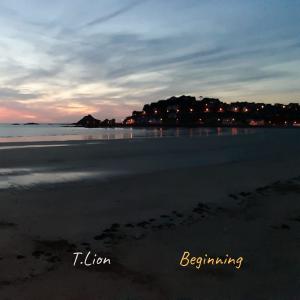 收听T.lion的zzz歌词歌曲