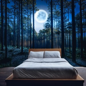 Música Para Soñar的專輯Música Para Dormir: Armonías Suaves Para La Noche