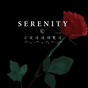 Album Serenity (Rearranged Version) from 今夜流浪猫聚会