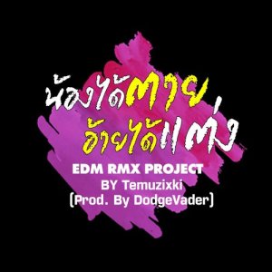 ดาวน์โหลดและฟังเพลง น้องได้ตายอ้ายได้แต่ง (EDM RMX PROJECT) พร้อมเนื้อเพลงจาก ตั๊กแตน ชลดา