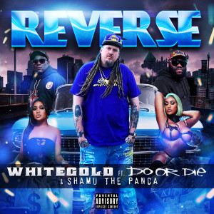 Album Reverse (Explicit) from 