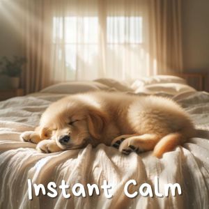 Pet Music Doctor的專輯Instant Calm (Songs to Alleviate Stress & Anxiety for Your Dog)