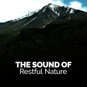 The Healing Sounds of Nature的專輯The Sound of Restful Nature