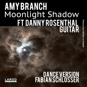 收聽Amy Branch的Moonlight Shadow歌詞歌曲