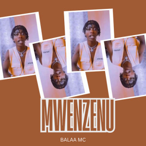 Album Mwenzenu from 