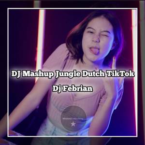 收听Dj Febrian的DJ Mashup Jungle Dutch歌词歌曲